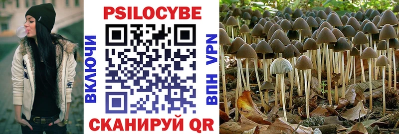 Псилоцибиновые грибы мухоморы  Купить где  Бологое 